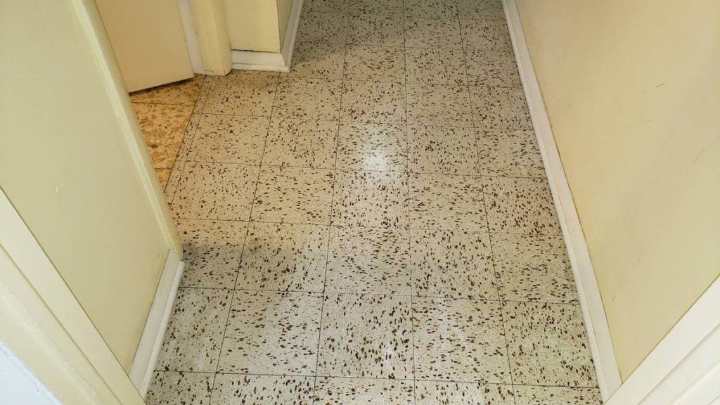 Asbestos Tile Vinyl