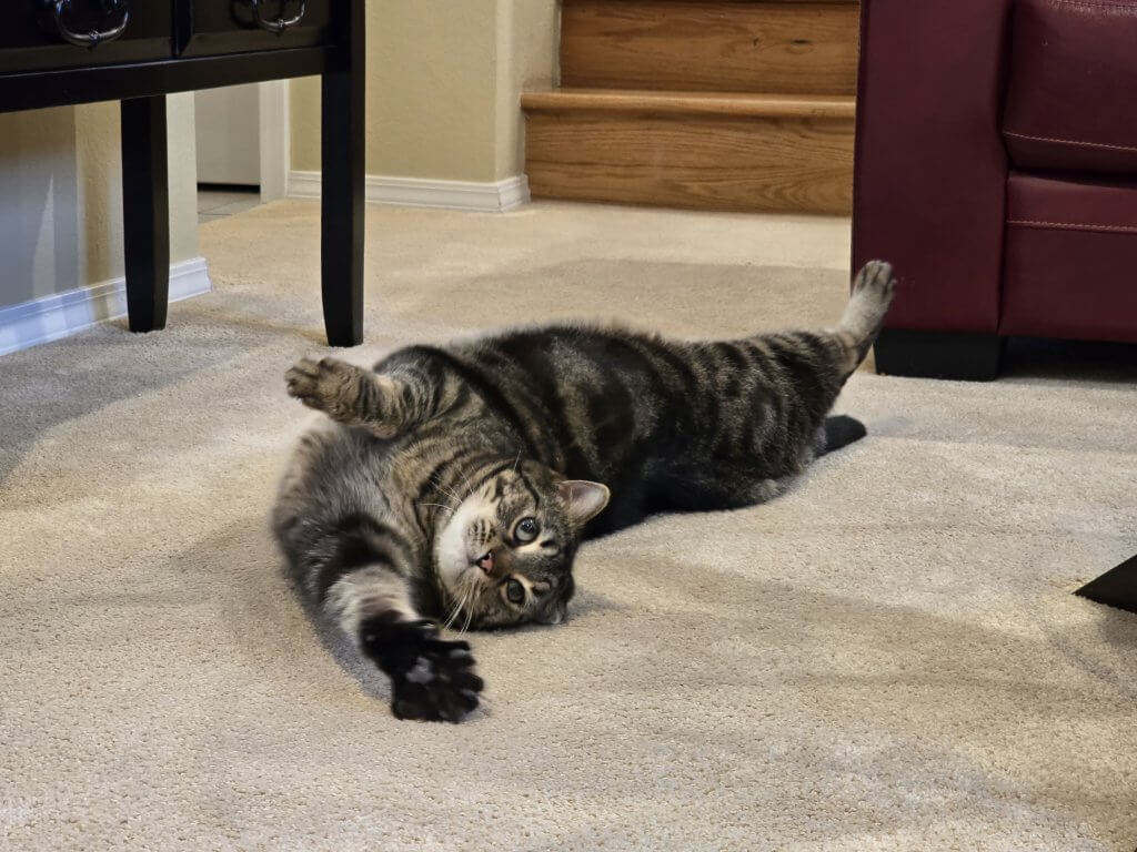 inspection highlights