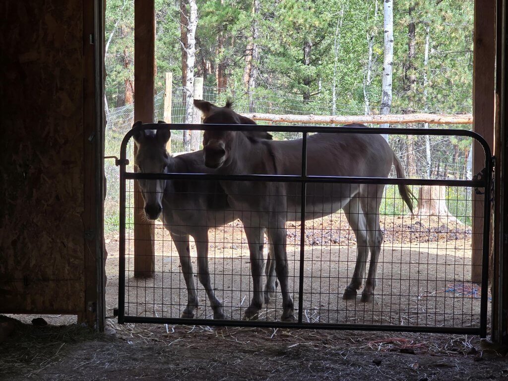 inspection highlights