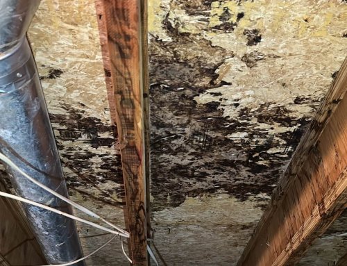 Understanding and Preventing Moisture Issues