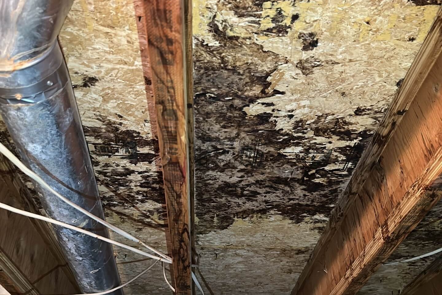 moisture issues and mold growth