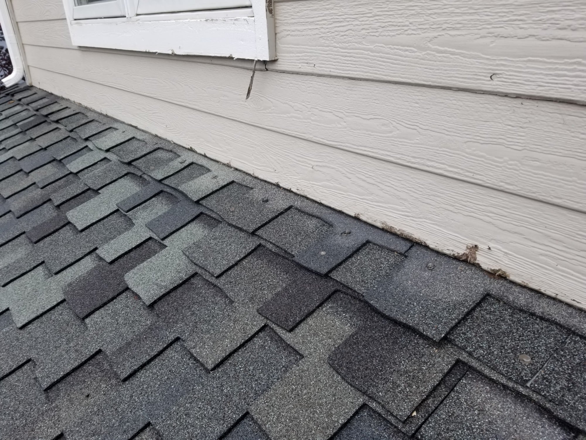 Capillary action example moisture control