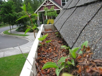 summer maintenance tips gutter cleaning