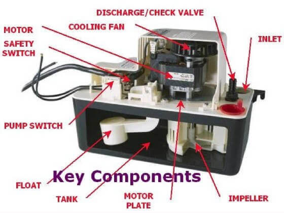 condensate pump diagram
