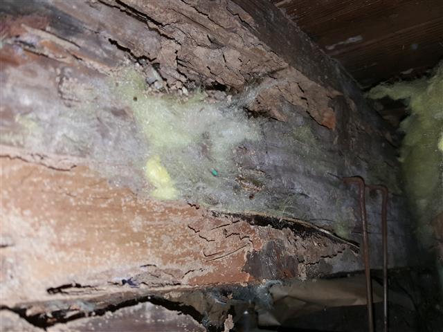 Wood Rot or Termite Damage