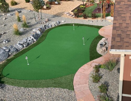 2020 Inspection Highlights and Fails