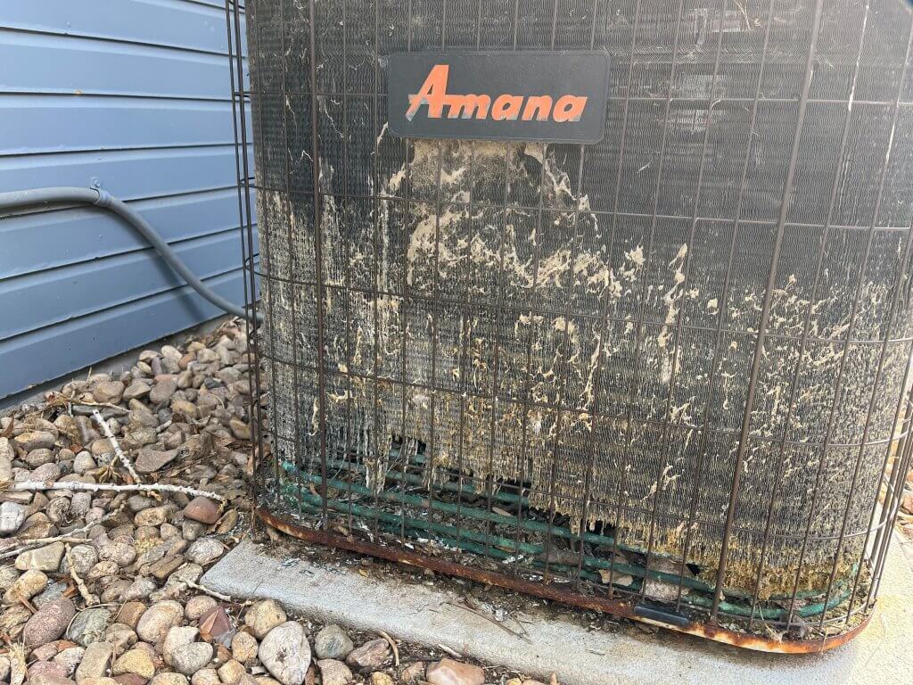 inspection highlights