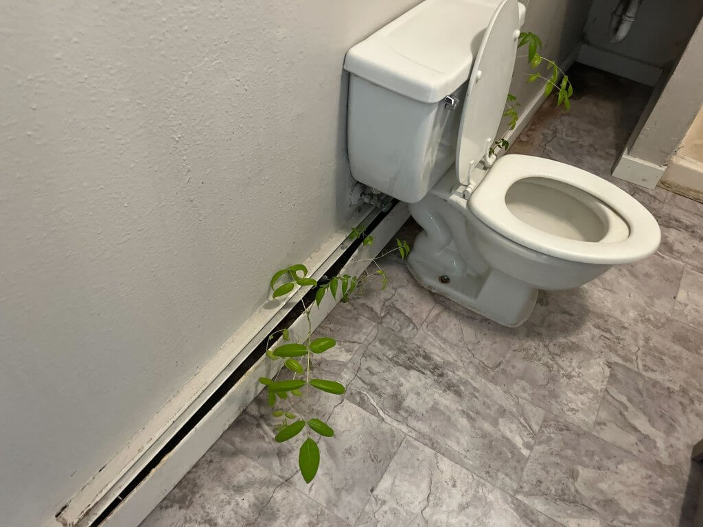 inspection highlights