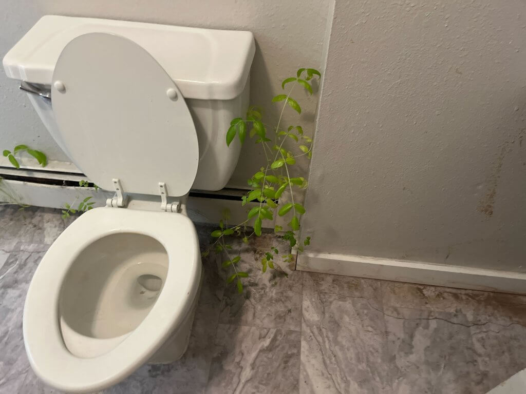 inspection highlights