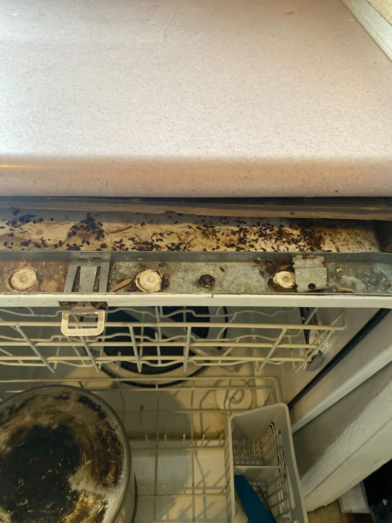 inspection highlights