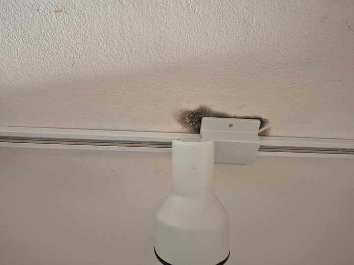 Mold forming on ceiling drywall around a light fixture caused by water intrusion.