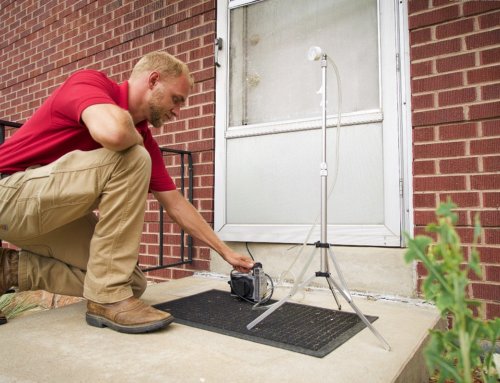 Mold Air Sample Testing