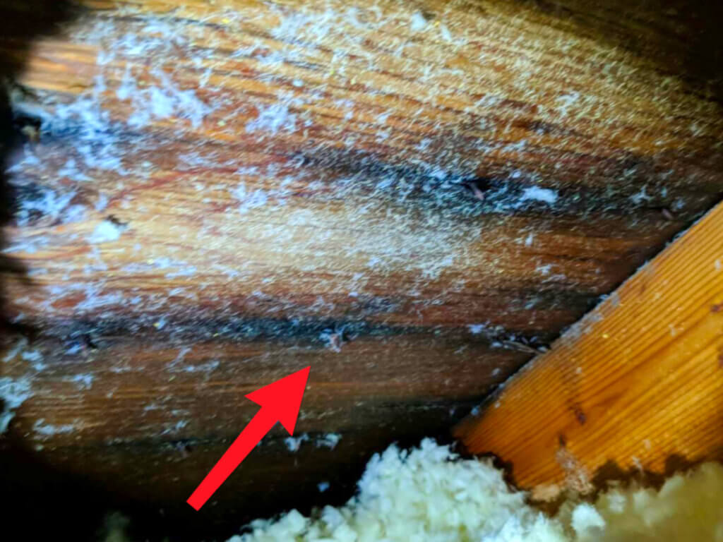 Bath Fan Venting Problems