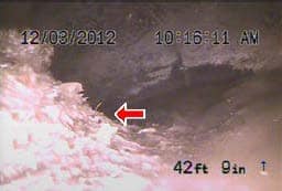 Common Home Inspection Problems: Sewer Line