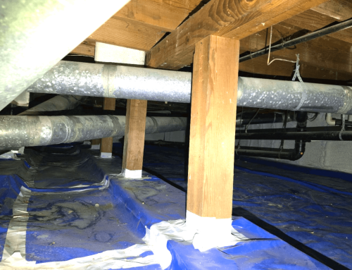 Crawlspace Inspections: What Do Inspectors Look For?